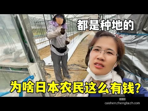 网红短剧,爆款剧逆袭,粉丝破百万,彩神争霸,彩票平台,快速投注,在线彩票,高频彩票