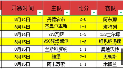哈兰德射门数据回顾：5次尝试仅2球有效，错失良机成遗憾时刻